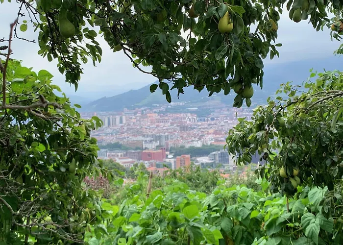 Hotel Artetxe Bilbao